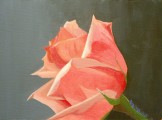 "A Thorny Question"
