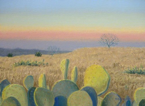 "Cactus Sunset"