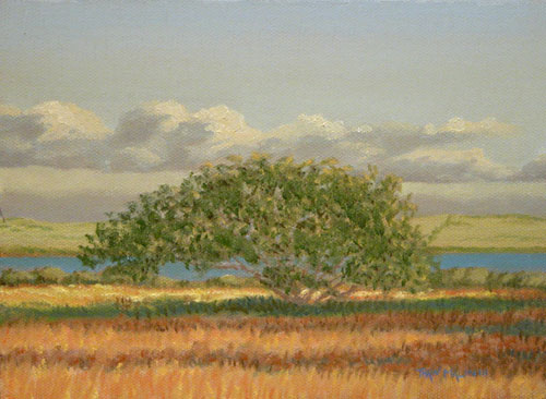 "Fall Field, Dune"