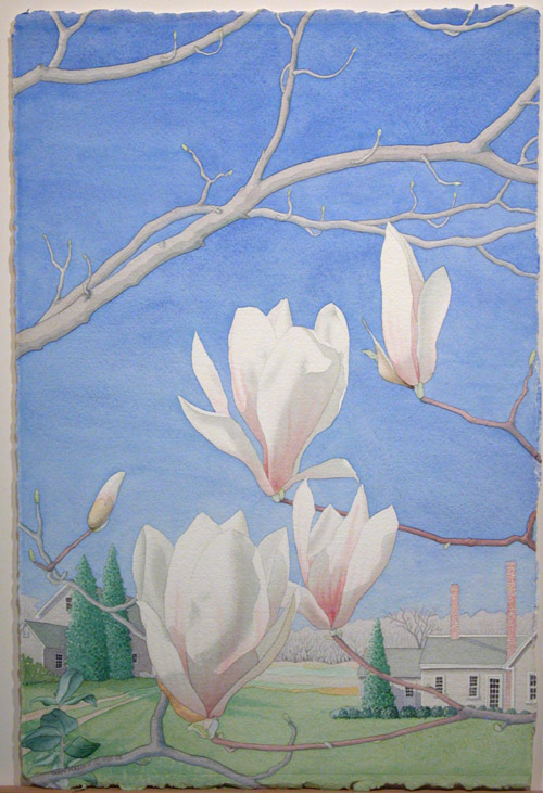 "Spring Magnolias"