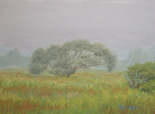 "Fog In The Field"