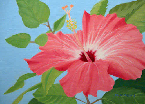 "Winter Hibiscus"