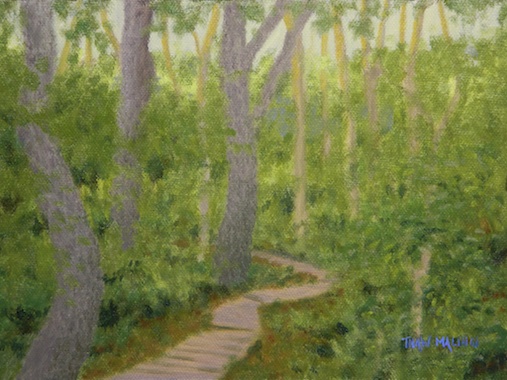 "Wetland Path"