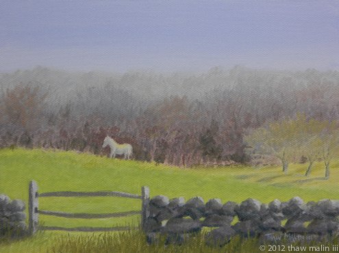 "Filly In The Field"
